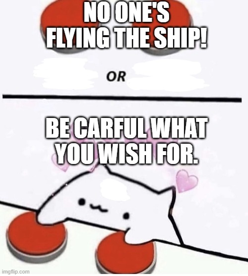 Cat pressing two buttons | NO ONE'S FLYING THE SHIP! BE CARFUL WHAT YOU WISH FOR. | image tagged in cat pressing two buttons | made w/ Imgflip meme maker