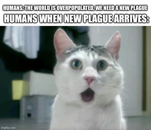 OMG Cat Meme | HUMANS WHEN NEW PLAGUE ARRIVES:; HUMANS: THE WORLD IS OVERPOPULATED, WE NEED A NEW PLAGUE | image tagged in memes,omg cat | made w/ Imgflip meme maker