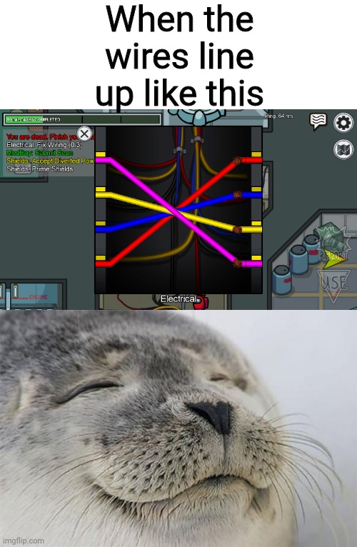 I love that. | When the wires line up like this | image tagged in memes,satisfied seal | made w/ Imgflip meme maker