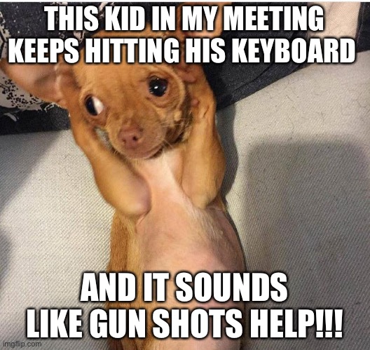Dog covers ears | THIS KID IN MY MEETING KEEPS HITTING HIS KEYBOARD; AND IT SOUNDS LIKE GUN SHOTS HELP!!! | image tagged in dog covers ears | made w/ Imgflip meme maker