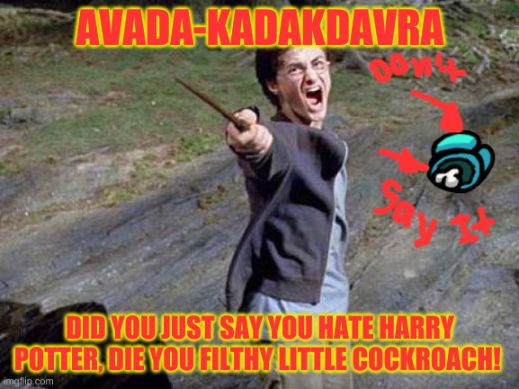 Dont insult harry potter | AVADA-KADAKDAVRA; DID YOU JUST SAY YOU HATE HARRY POTTER, DIE YOU FILTHY LITTLE COCKROACH! | image tagged in harry potter yelling | made w/ Imgflip meme maker