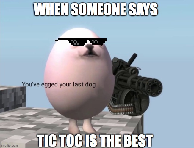 we hate tic tok!!!!!!! | WHEN SOMEONE SAYS; TIC TOC IS THE BEST | image tagged in you've egged your last dog | made w/ Imgflip meme maker