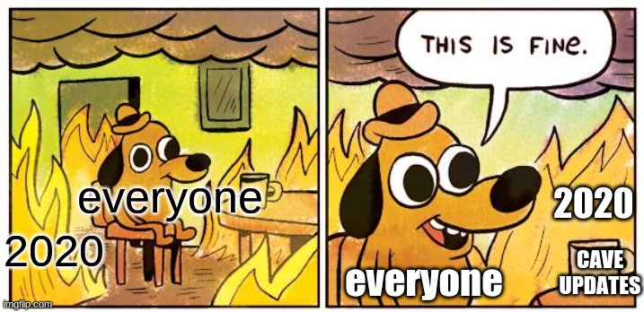 ah yes,this is fine | everyone; 2020; 2020; CAVE UPDATES; everyone | image tagged in memes,this is fine | made w/ Imgflip meme maker