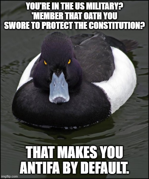 Angry duck | YOU'RE IN THE US MILITARY? 'MEMBER THAT OATH YOU SWORE TO PROTECT THE CONSTITUTION? THAT MAKES YOU ANTIFA BY DEFAULT. | image tagged in angry duck,AdviceAnimals | made w/ Imgflip meme maker