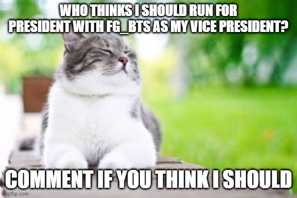 running for pres | WHO THINKS I SHOULD RUN FOR PRESIDENT WITH FG_BTS AS MY VICE PRESIDENT? COMMENT IF YOU THINK I SHOULD | image tagged in content cat,presidential race,2020,imgflip | made w/ Imgflip meme maker