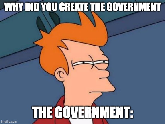 Futurama Fry | WHY DID YOU CREATE THE GOVERNMENT; THE GOVERNMENT: | image tagged in memes,futurama fry | made w/ Imgflip meme maker