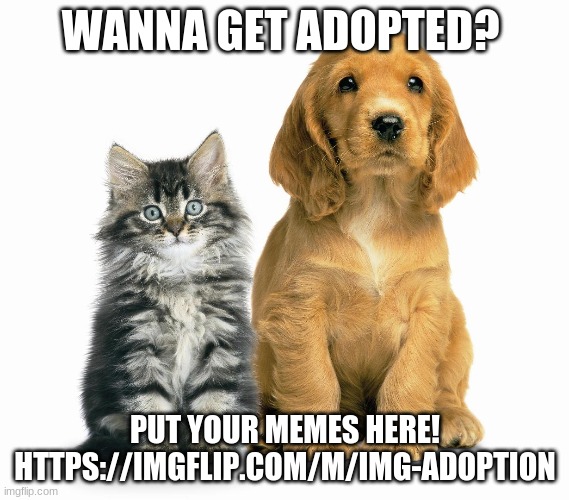 So I've seen a bunch of people wanting to get adopted so I decided to branch into another stream. I hope thats okay! | WANNA GET ADOPTED? PUT YOUR MEMES HERE! HTTPS://IMGFLIP.COM/M/IMG-ADOPTION | made w/ Imgflip meme maker