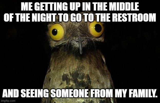 I dont have a heading for this | ME GETTING UP IN THE MIDDLE OF THE NIGHT TO GO TO THE RESTROOM; AND SEEING SOMEONE FROM MY FAMILY. | image tagged in memes,weird stuff i do potoo | made w/ Imgflip meme maker