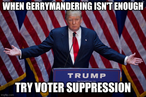 Donald Trump | WHEN GERRYMANDERING ISN'T ENOUGH; TRY VOTER SUPPRESSION | image tagged in donald trump | made w/ Imgflip meme maker