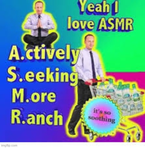 ASMR | image tagged in random | made w/ Imgflip meme maker