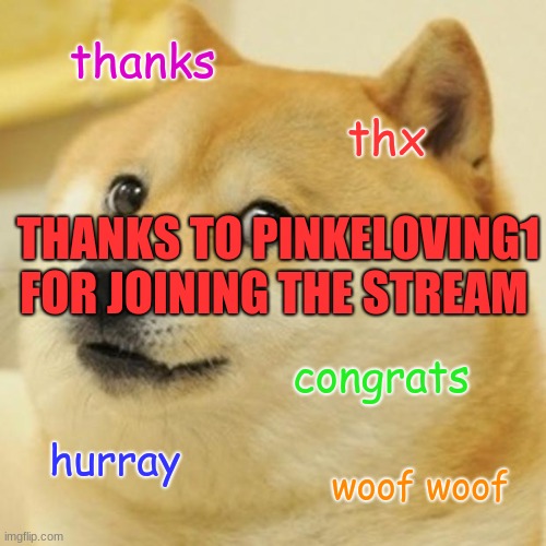 Doge | thanks; thx; THANKS TO PINKELOVING1 FOR JOINING THE STREAM; congrats; hurray; woof woof | image tagged in memes,doge | made w/ Imgflip meme maker