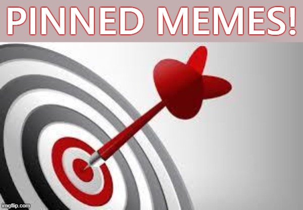 The Government stream's "pinned memes." Keep track of latest stream news in the comments. | PINNED MEMES! | image tagged in focus target,meanwhile on imgflip,meme stream,government,imgflip trends,elections | made w/ Imgflip meme maker