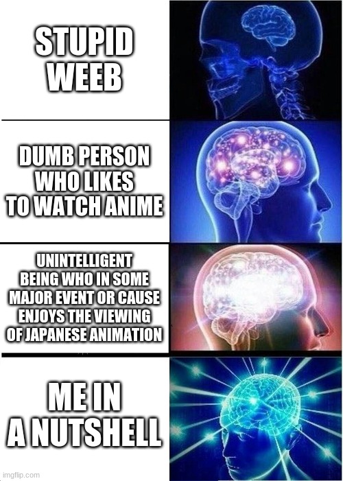 big brian | STUPID WEEB; DUMB PERSON WHO LIKES TO WATCH ANIME; UNINTELLIGENT BEING WHO IN SOME MAJOR EVENT OR CAUSE ENJOYS THE VIEWING OF JAPANESE ANIMATION; ME IN A NUTSHELL | image tagged in memes,expanding brain | made w/ Imgflip meme maker