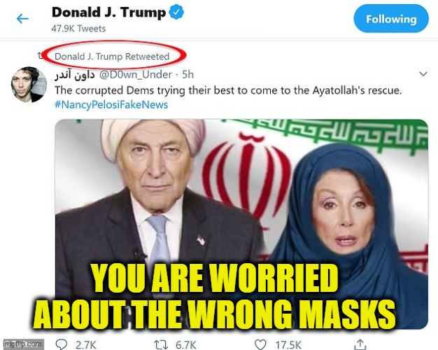 Schmuck Scummer & Nasty Pelousy | YOU ARE WORRIED ABOUT THE WRONG MASKS | image tagged in nancy pelosi,chuck schumer | made w/ Imgflip meme maker