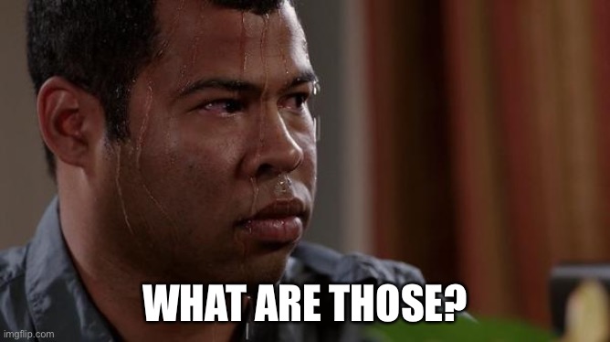 sweating bullets | WHAT ARE THOSE? | image tagged in sweating bullets | made w/ Imgflip meme maker