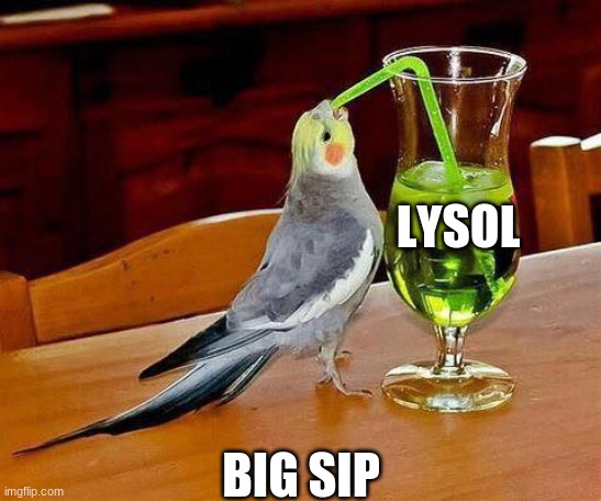 Big Sip | LYSOL BIG SIP | image tagged in big sip | made w/ Imgflip meme maker