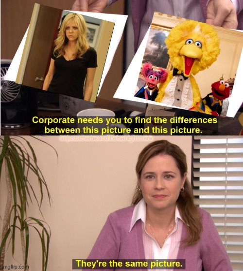Sweet Dee is Big Bird | imjustamemeandlifeisanightmare | image tagged in memes,they're the same picture,its always sunny in philidelphia | made w/ Imgflip meme maker