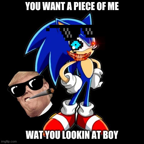 You're Too Slow Sonic Meme | YOU WANT A PIECE OF ME; WAT YOU LOOKIN AT BOY | image tagged in memes,you're too slow sonic | made w/ Imgflip meme maker