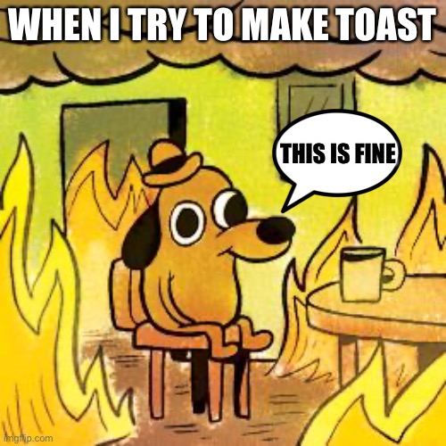 Dog in burning house | WHEN I TRY TO MAKE TOAST THIS IS FINE | image tagged in dog in burning house | made w/ Imgflip meme maker