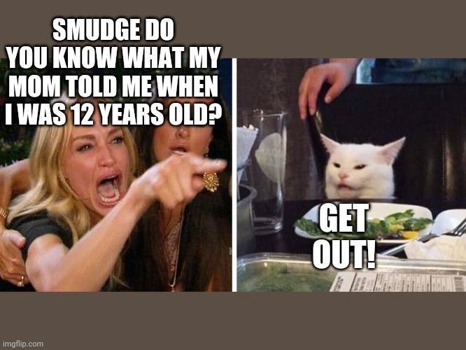 Smudge the cat | SMUDGE DO YOU KNOW WHAT MY MOM TOLD ME WHEN I WAS 12 YEARS OLD? GET OUT! | image tagged in smudge the cat | made w/ Imgflip meme maker