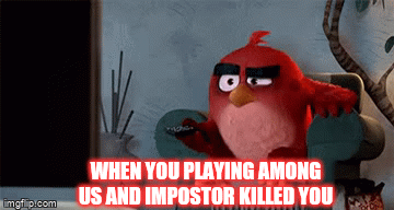 Impostor Killed You Imgflip