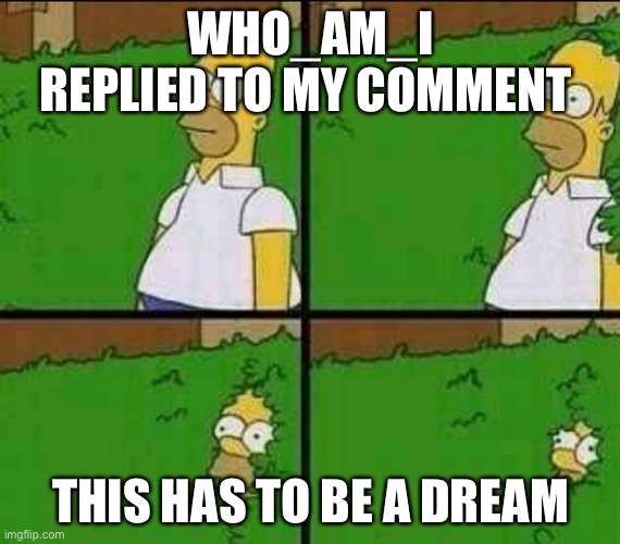 Homer Simpson Nope | WHO_AM_I REPLIED TO MY COMMENT; THIS HAS TO BE A DREAM | image tagged in homer simpson nope | made w/ Imgflip meme maker