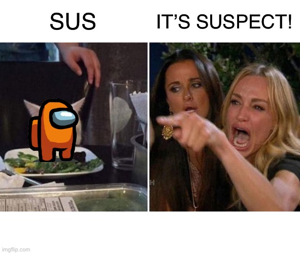 Woman yelling at cat (flipped) | IT’S SUSPECT! SUS | image tagged in woman yelling at cat,sus,among us,funny,memes | made w/ Imgflip meme maker