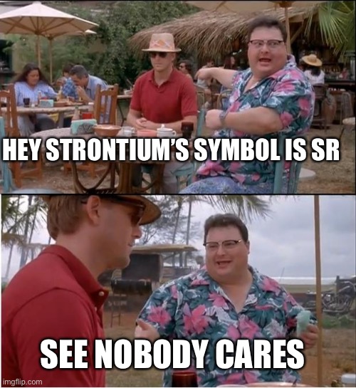 Chemistry project | HEY STRONTIUM’S SYMBOL IS SR; SEE NOBODY CARES | image tagged in memes,see nobody cares | made w/ Imgflip meme maker
