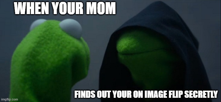Evil Kermit Meme | WHEN YOUR MOM; FINDS OUT YOUR ON IMAGE FLIP SECRETLY | image tagged in memes,evil kermit | made w/ Imgflip meme maker