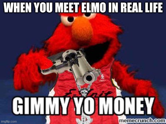 WHEN YOU MEET ELMO IN REAL LIFE | image tagged in do not question the elevated one | made w/ Imgflip meme maker