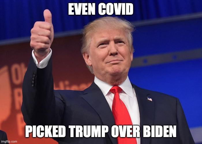 donald trump | EVEN COVID; PICKED TRUMP OVER BIDEN | image tagged in donald trump,covid-19 | made w/ Imgflip meme maker