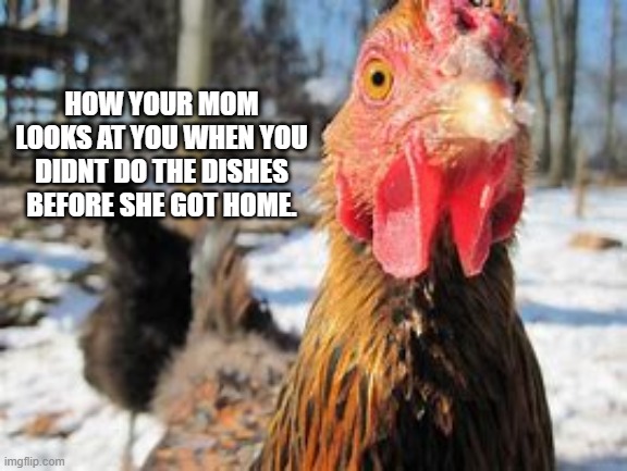 Oh Cluck | HOW YOUR MOM LOOKS AT YOU WHEN YOU DIDNT DO THE DISHES BEFORE SHE GOT HOME. | image tagged in fun | made w/ Imgflip meme maker