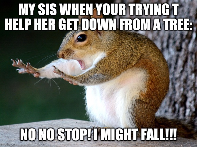 Now hold on one minute | MY SIS WHEN YOUR TRYING T HELP HER GET DOWN FROM A TREE:; NO NO STOP! I MIGHT FALL!!! | image tagged in now hold on one minute | made w/ Imgflip meme maker
