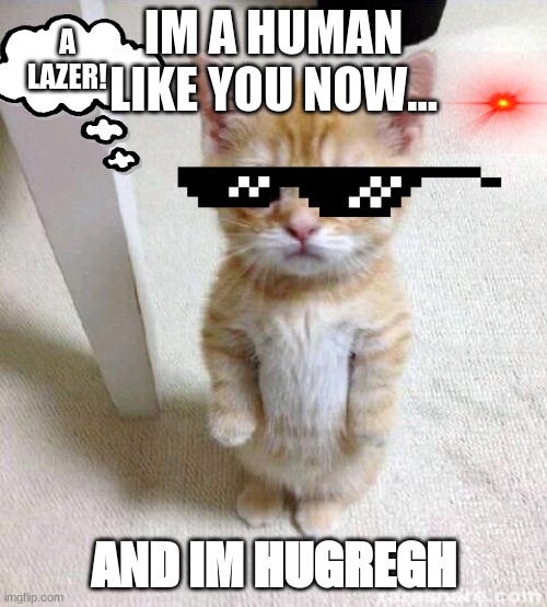 Cute Cat Meme | IM A HUMAN LIKE YOU NOW... A LAZER! AND IM HUGREGH | image tagged in memes,cute cat | made w/ Imgflip meme maker