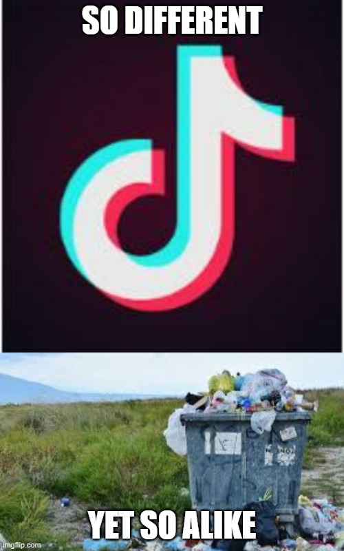 SO DIFFERENT; YET SO ALIKE | image tagged in tik tok | made w/ Imgflip meme maker