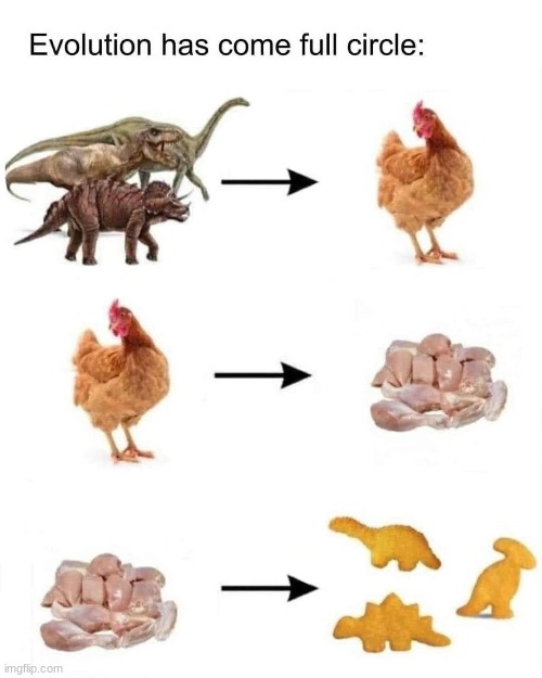 don't believe evolution? look at the meme | image tagged in dino chicken nuggets | made w/ Imgflip meme maker