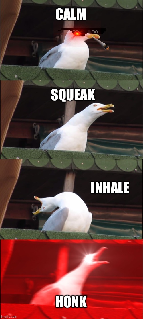 Inhaling Seagull Meme | CALM; SQUEAK; INHALE; HONK | image tagged in memes,inhaling seagull | made w/ Imgflip meme maker