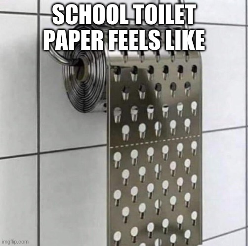 who else agrees | SCHOOL TOILET PAPER FEELS LIKE | image tagged in toilet paper,funny | made w/ Imgflip meme maker