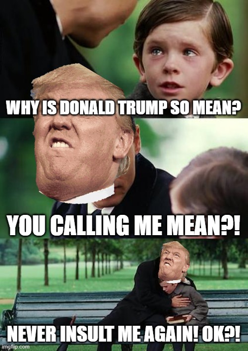 Finding Neverland | WHY IS DONALD TRUMP SO MEAN? YOU CALLING ME MEAN?! NEVER INSULT ME AGAIN! OK?! | image tagged in memes,finding neverland | made w/ Imgflip meme maker