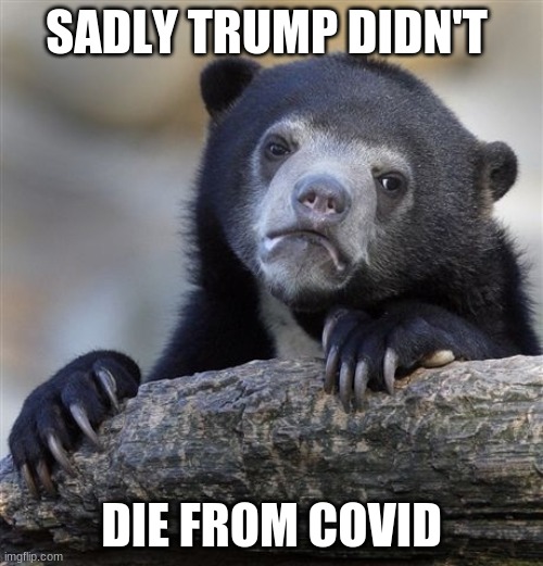 Confession Bear Meme | SADLY TRUMP DIDN'T; DIE FROM COVID | image tagged in memes,confession bear | made w/ Imgflip meme maker