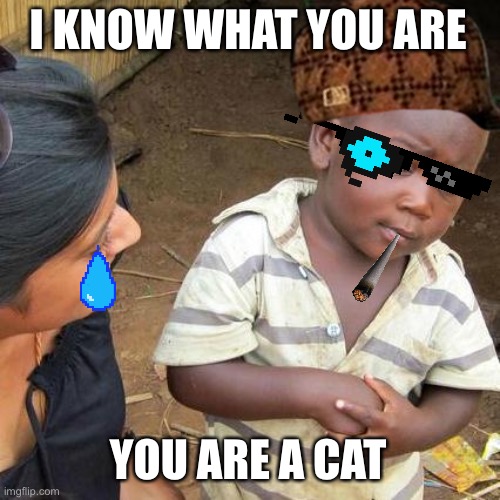 Third World Skeptical Kid | I KNOW WHAT YOU ARE; YOU ARE A CAT | image tagged in memes,third world skeptical kid | made w/ Imgflip meme maker