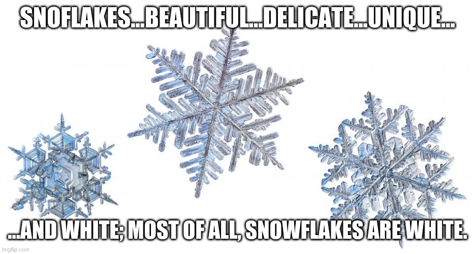 The thing about Snowflakes is | SNOFLAKES...BEAUTIFUL...DELICATE...UNIQUE... ...AND WHITE; MOST OF ALL, SNOWFLAKES ARE WHITE. | image tagged in snowflakes | made w/ Imgflip meme maker