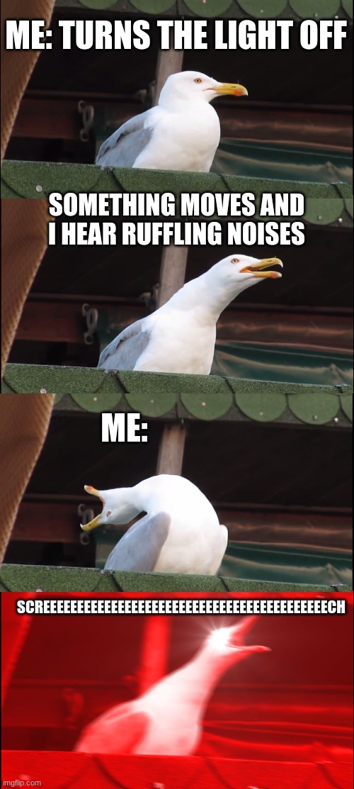 I scared | ME: TURNS THE LIGHT OFF; SOMETHING MOVES AND I HEAR RUFFLING NOISES; ME:; SCREEEEEEEEEEEEEEEEEEEEEEEEEEEEEEEEEEEEEEEEEECH | image tagged in memes,inhaling seagull | made w/ Imgflip meme maker