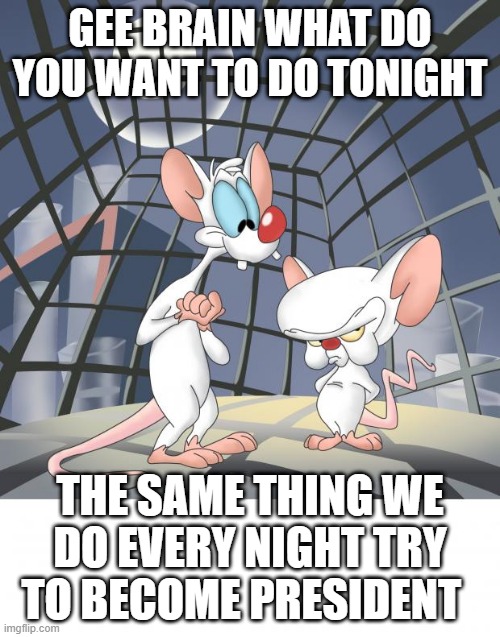 Pinky and the brain | GEE BRAIN WHAT DO YOU WANT TO DO TONIGHT; THE SAME THING WE DO EVERY NIGHT TRY TO BECOME PRESIDENT | image tagged in pinky and the brain | made w/ Imgflip meme maker