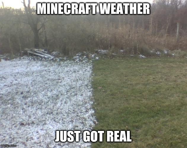 Minecraft weather | image tagged in emergency meeting among us,among us | made w/ Imgflip meme maker