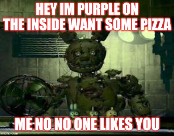 who you looking at | HEY IM PURPLE ON THE INSIDE WANT SOME PIZZA; ME NO NO ONE LIKES YOU | image tagged in fnaf springtrap in window,memes | made w/ Imgflip meme maker