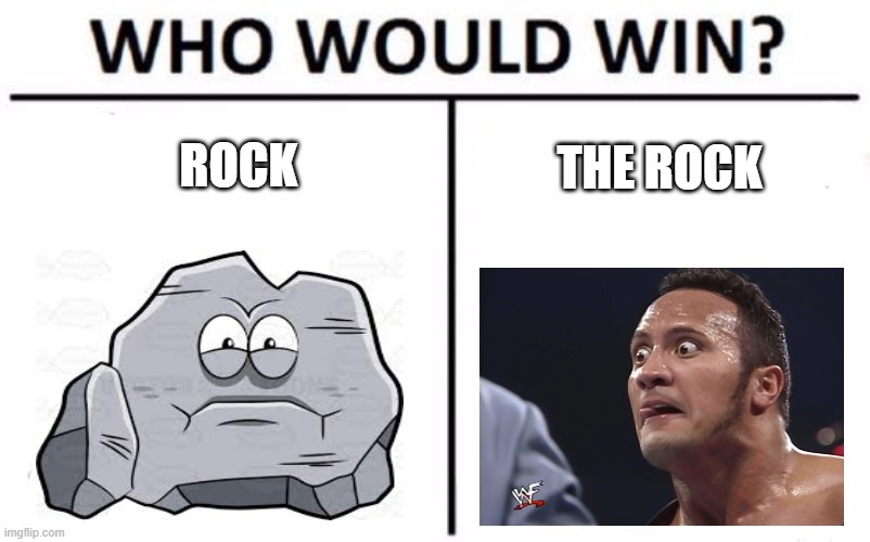 this is stupid lmao | ROCK; THE ROCK | image tagged in memes,who would win | made w/ Imgflip meme maker