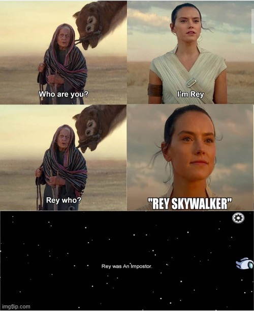 Rey was always sus | image tagged in rey,star wars,among us | made w/ Imgflip meme maker