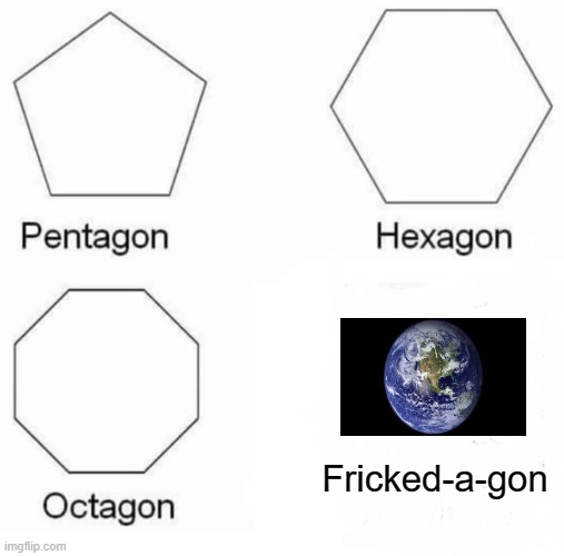 2020 be like | Fricked-a-gon | image tagged in memes,pentagon hexagon octagon | made w/ Imgflip meme maker