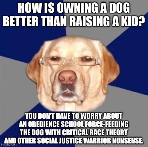 Get a dog. Dogs are not inherently racist. | HOW IS OWNING A DOG BETTER THAN RAISING A KID? YOU DON’T HAVE TO WORRY ABOUT AN OBEDIENCE SCHOOL FORCE-FEEDING THE DOG WITH CRITICAL RACE THEORY AND OTHER SOCIAL JUSTICE WARRIOR NONSENSE. | image tagged in racist dog,memes,racist,kid,social justice,school | made w/ Imgflip meme maker